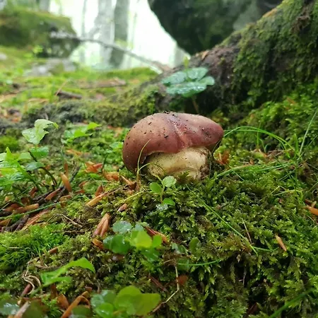 14 In Tuscany - Val D'orcia - Casa Privata * كاستل ديل بيانو